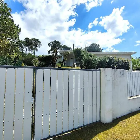 Spacieuse Avec Piscine Chauffee, Jardin Et Terrasse A Petit-piquey - Fr-1-736-9 Lège-Cap-Ferret