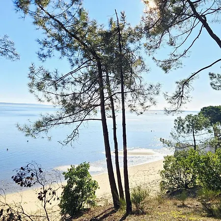 Spacieuse Avec Piscine Chauffee, Jardin Et Terrasse A Petit-piquey - Fr-1-736-9 Lège-Cap-Ferret